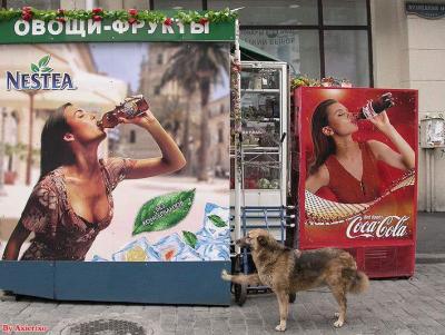 Nestea vs Coca-cola